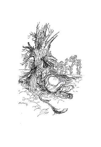 Alice in Wonderland - with Arthur Rackham illustrations