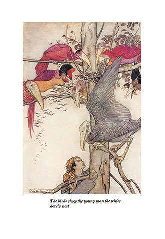 The Allies' Fairy Book - Illustrated by Arthur Rackham