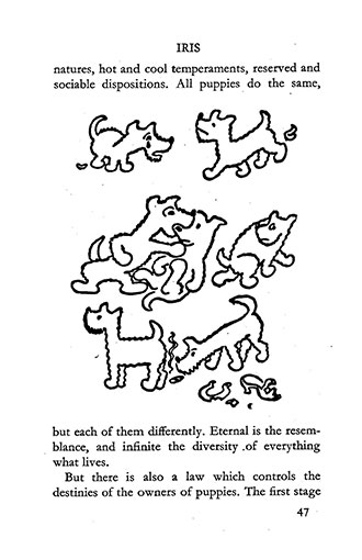 I Had a Dog and a Cat - Pictures Drawn by Josef and Karel Capek