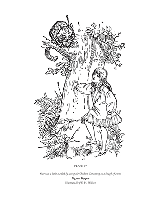 The Alice in Wonderland Colouring Book – Vol. I