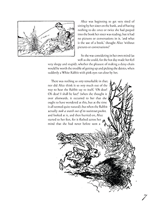 The Illustrated Alice in Wonderland