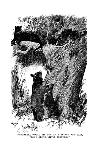 The Jungle Book - Illustrated by John Lockwood Kipling