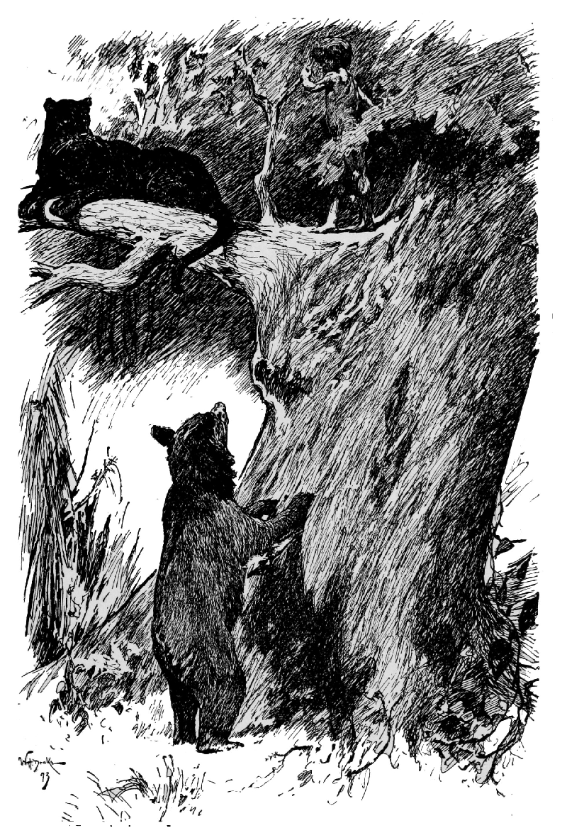 The Jungle Book – Illustrated by John Lockwood Kipling
