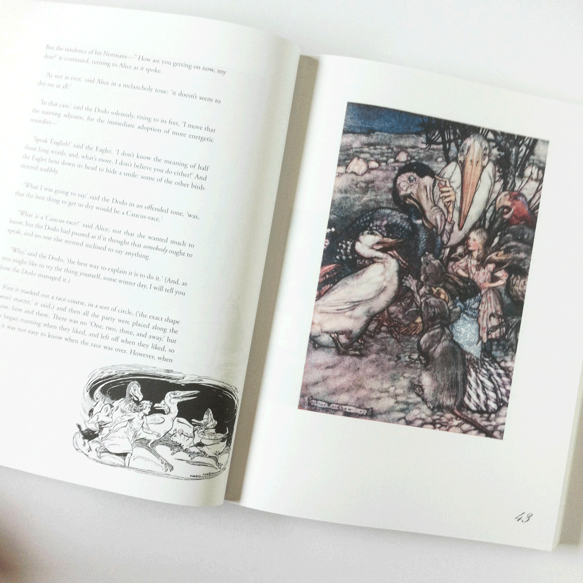 Arthur Rackham illustration. Alice's Adventures in Wonderland.