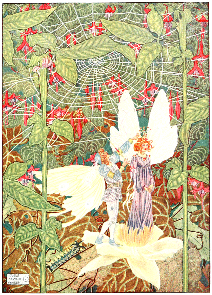 Thumbelisa - Dugald Stewart Walker Autumn Illustrations