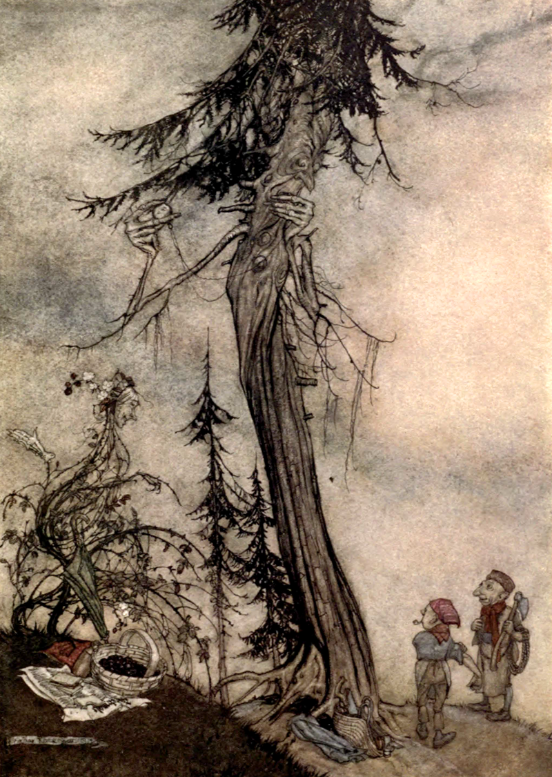 Aesop's Fables, The Fir-Tree and the Brambles, Arthur Rackham