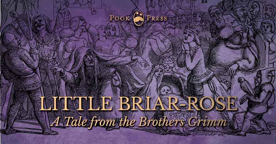 Little Briar-Rose – A Sleeping Beauty Story from the Brothers Grimm