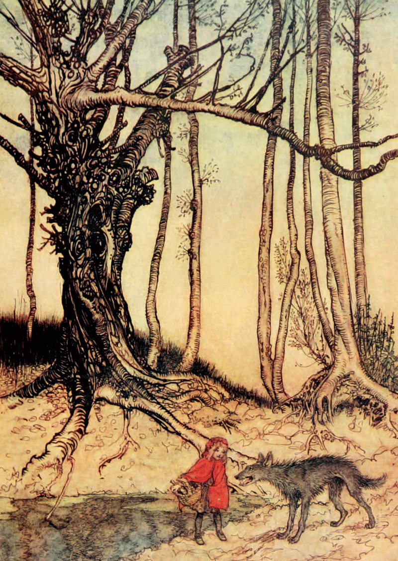 Tree, Arthur Rackham, Little Red Riding Hood