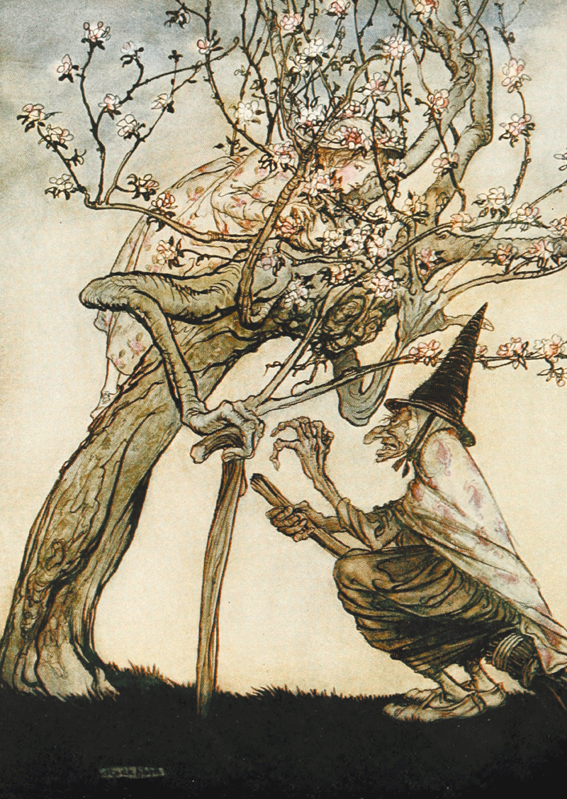 The Two Sisters, Tree, Arthur Rackham