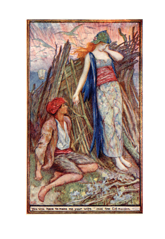 The Brown Fairy Book Andrew Lang H. J. Ford