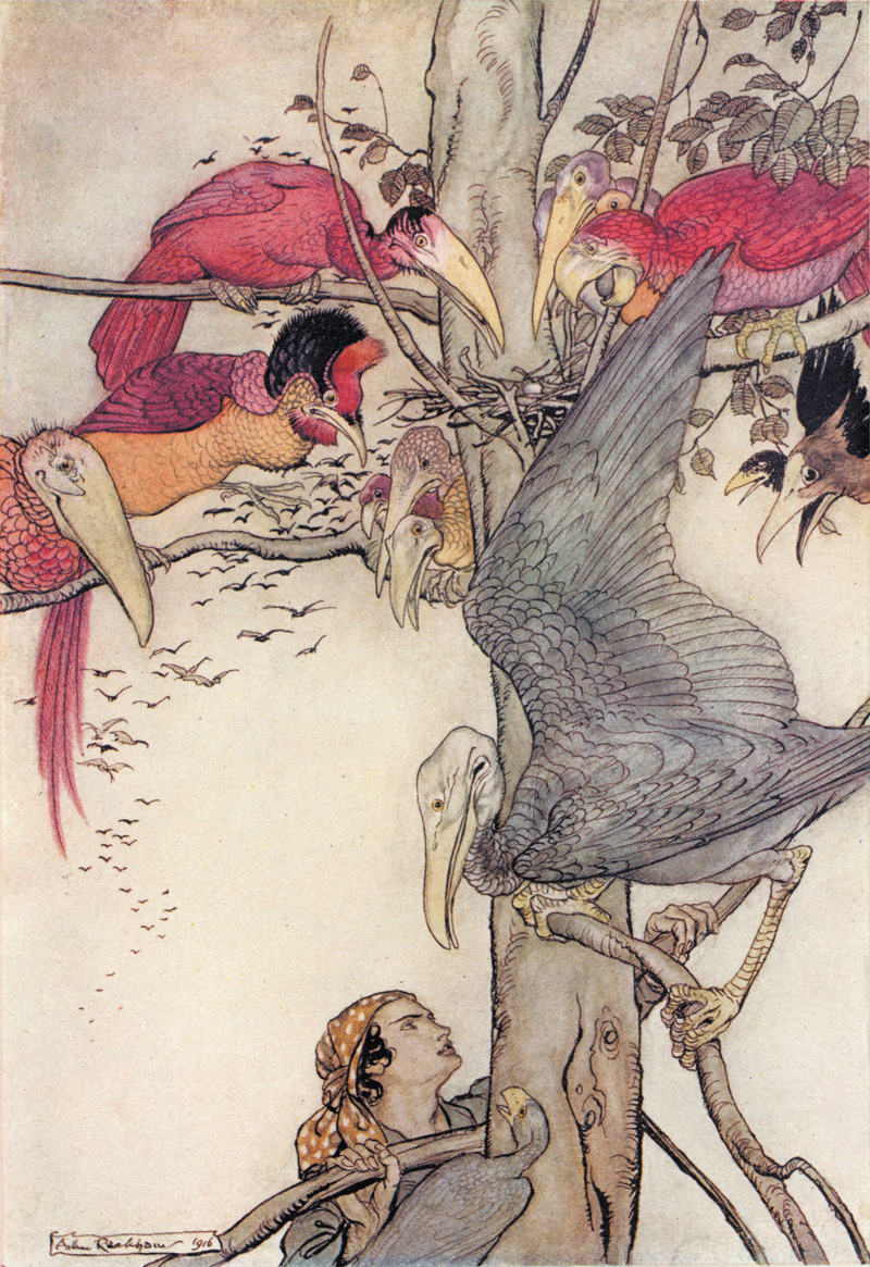 What Came of Picking Flowers by Arthur Rackham