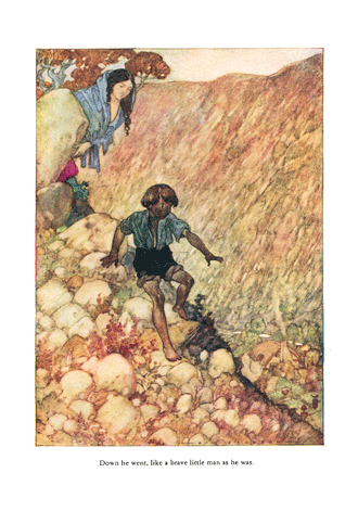 The Water Babies illustrated by A. E. Jackson