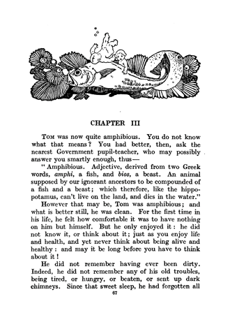 The Water Babies illustrated by A. E. Jackson