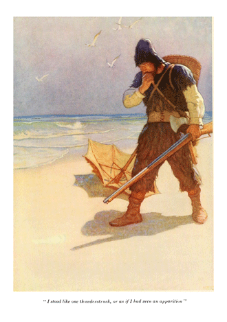 Robinson Crusoe by Daniel Defoe illustrated by N. C. Wyeth