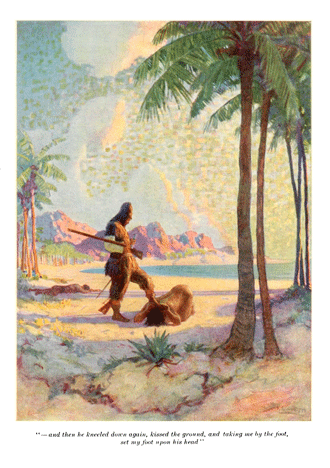 Robinson Crusoe by Daniel Defoe illustrated by N. C. Wyeth