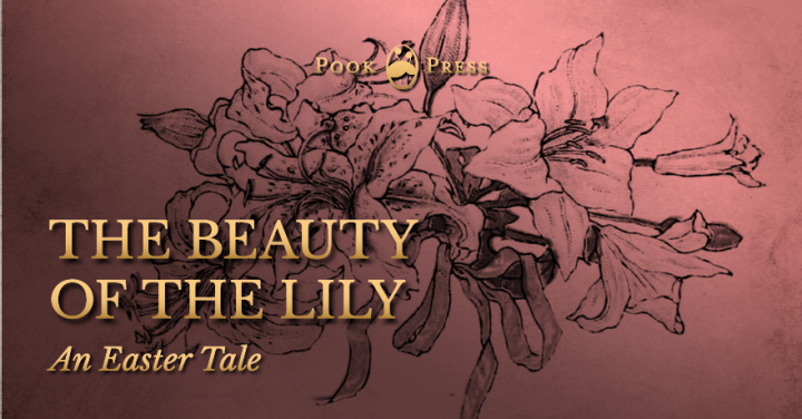 The Beauty of the Lily The Beauty of the Lily