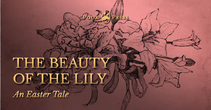 The Beauty of the Lily