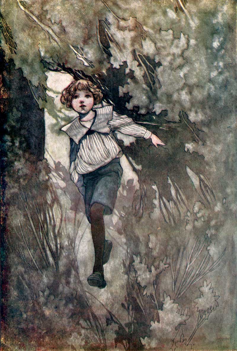 The Secret Garden Illustrations