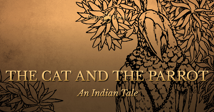 The Cat and The Parrot – An Indian Tale