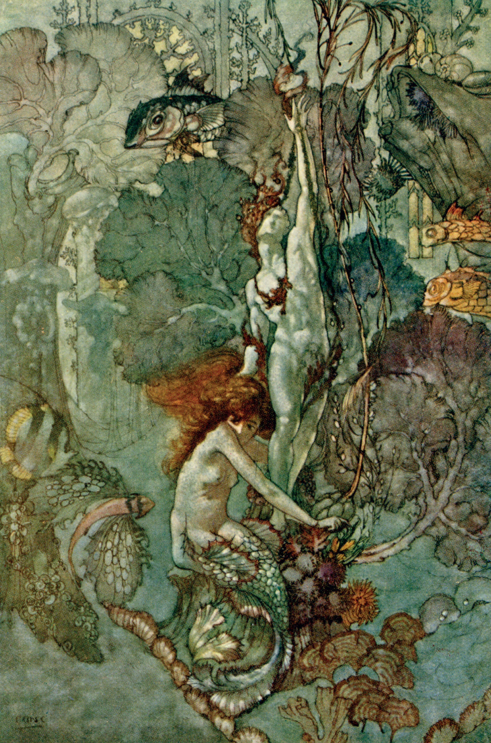 The Little Mermaid illustration by A. Duncan Carse